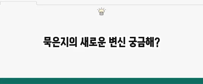 묵은지 들기름 볶음 황금레시피: 김치 요리 끝판왕!