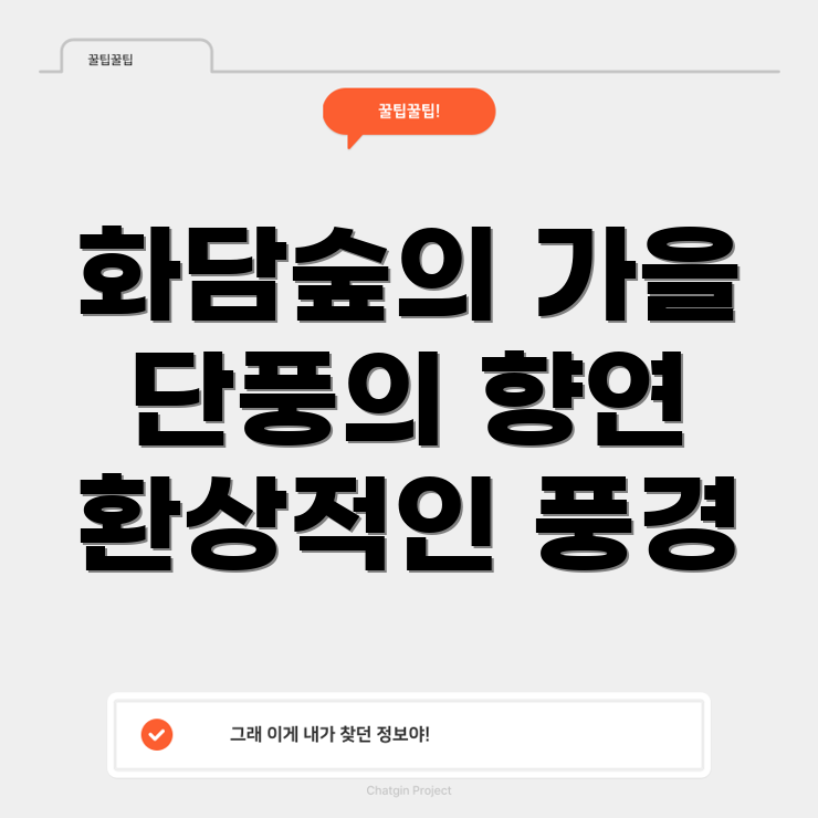 화담숲의 가을 단풍