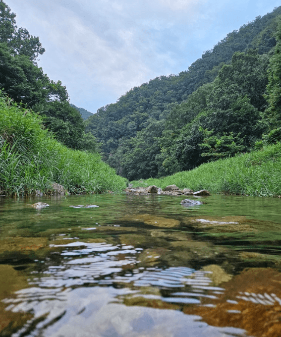 설마리계곡