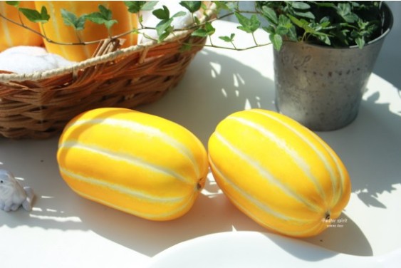 참외-순치기-방법