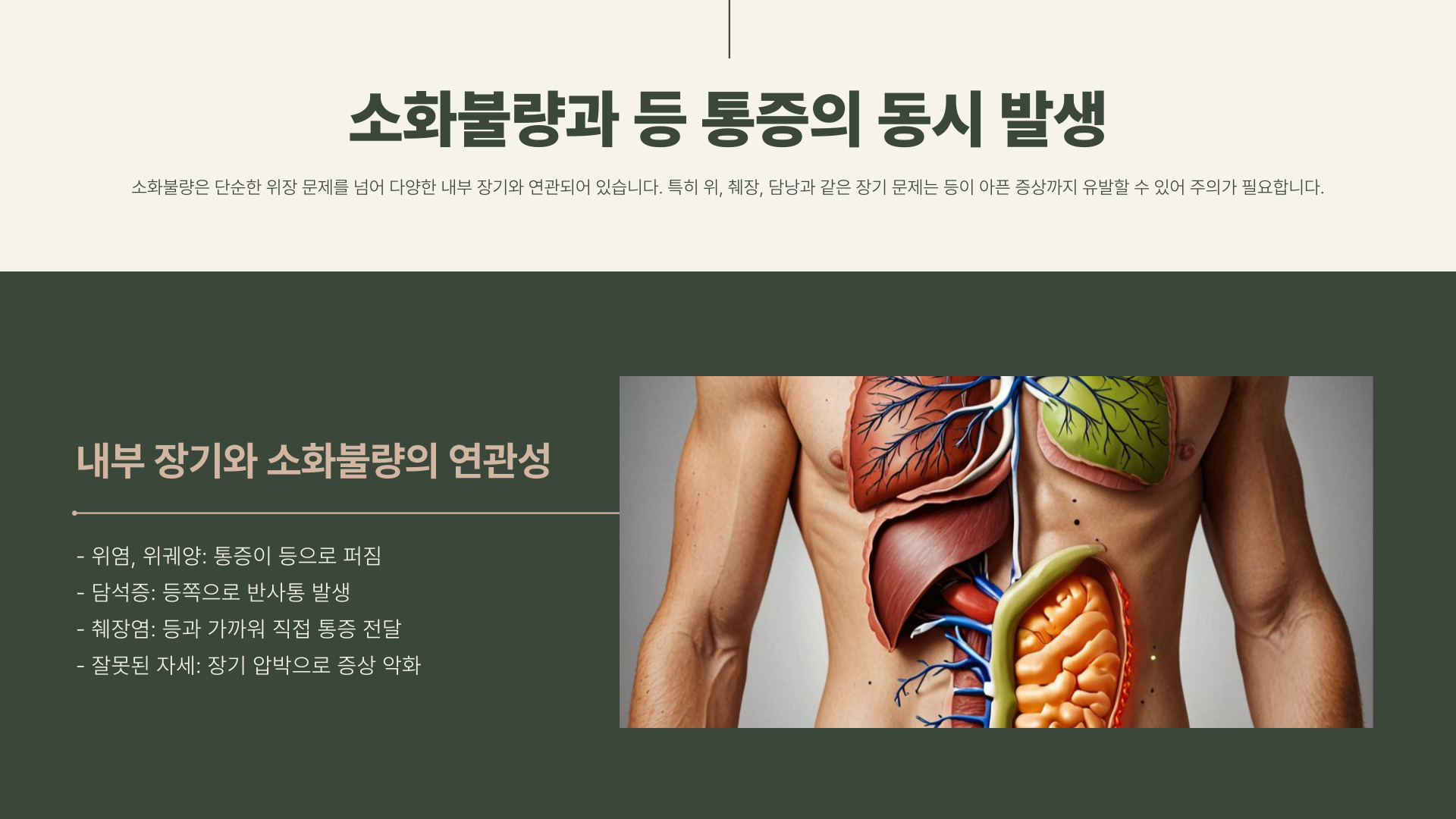 소화가 안되고 등이 아파요