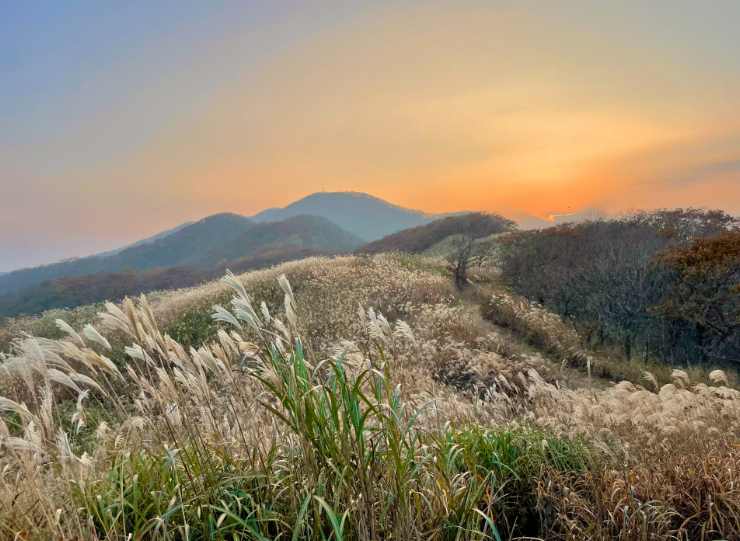 장안산군립공원 단풍1