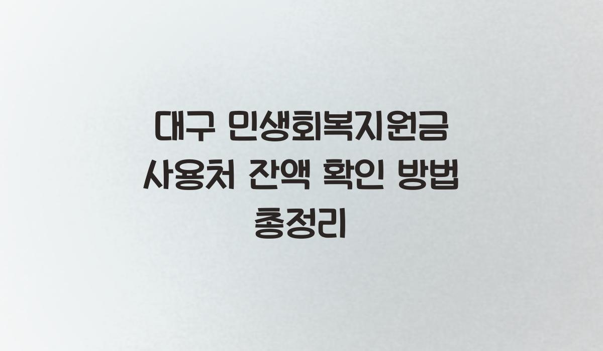대구 민생회복지원금 사용처 잔액 확인 방법 총정리