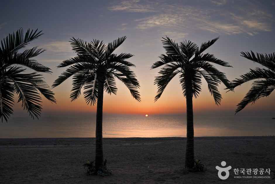 경주 오류고아라해변