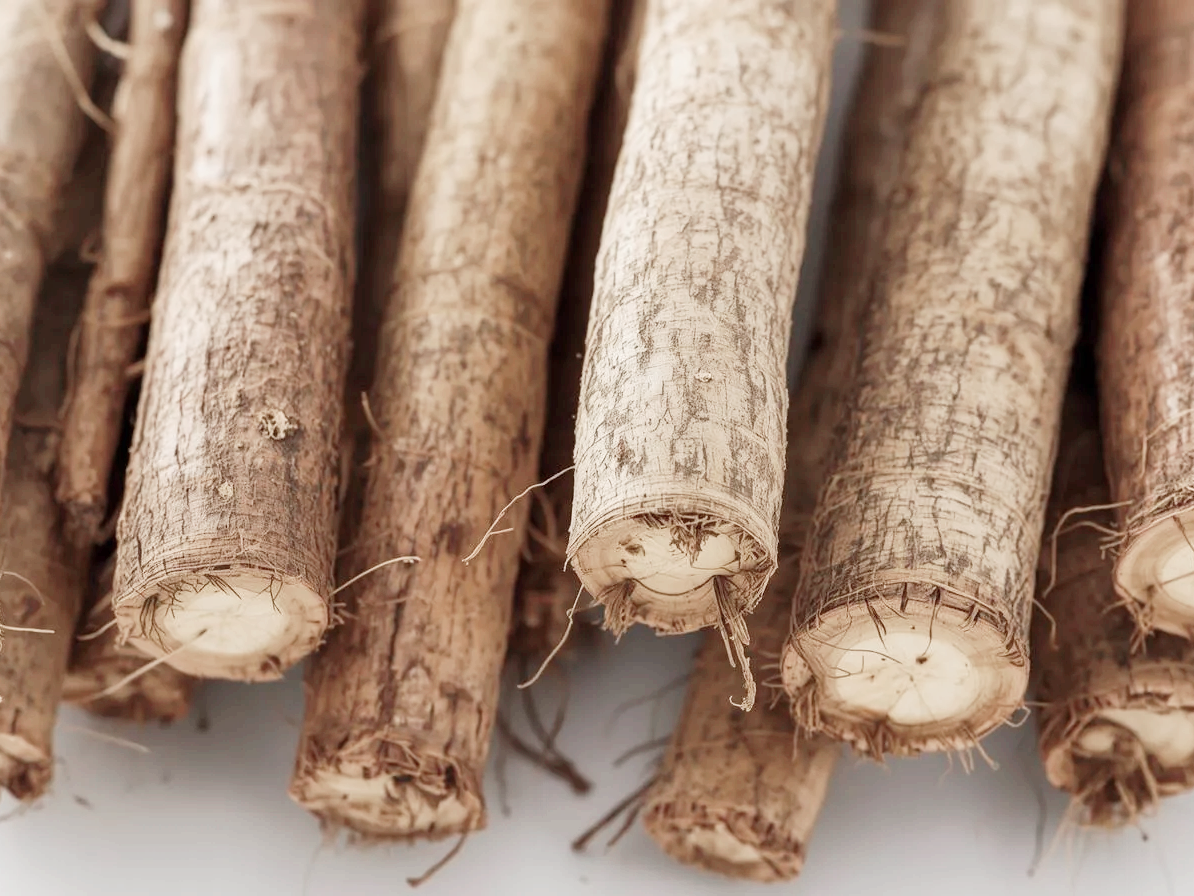 우엉차 아르크티움 성분