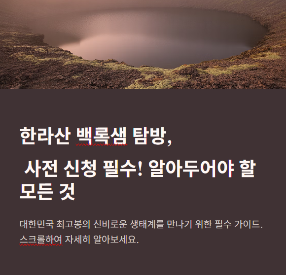 사전신청필수 알아두어야할 모든것