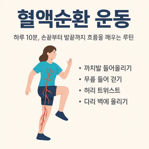 혈액순환 운동 루틴 실천 이미지