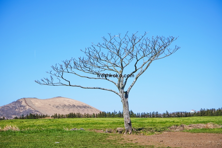 제주도 가볼만한곳 10곳