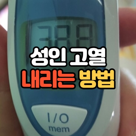 성인 열 내리는 방법