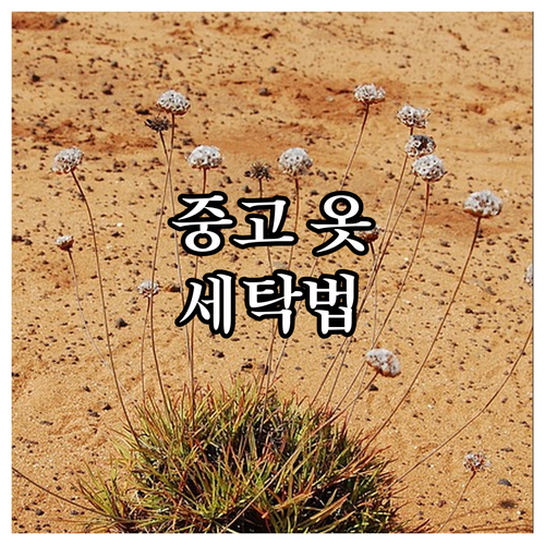 중고 의류, 똑똑하게 구매하고 안전하