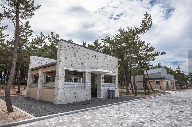 연곡 솔향기 캠핑장