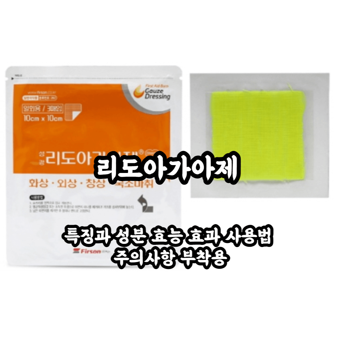 리도아가아제 특징과 성분 효능 효과 사용법 주의사항 부착용 총정리