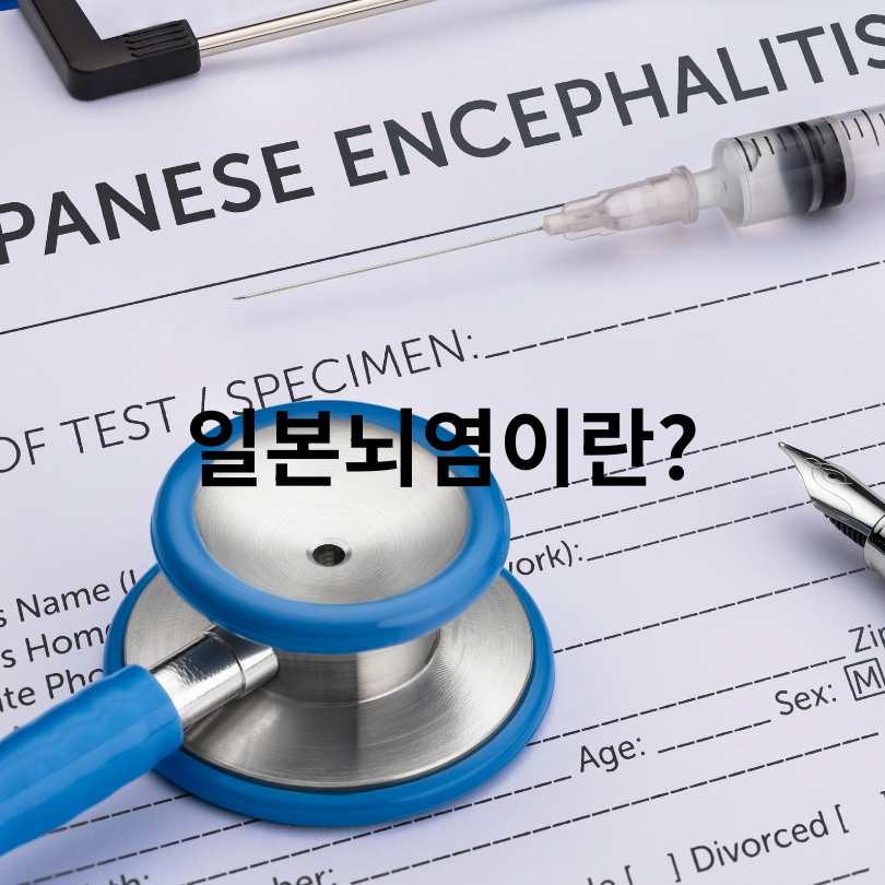 일본뇌염 증상부터 예방법