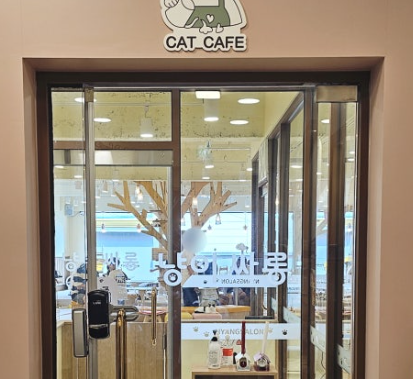 청주 성안길 아이와 가볼만한 곳, 고양이 카페 '냥이싸롱' 힐링 후기 (입장료/간식/방학나들이)