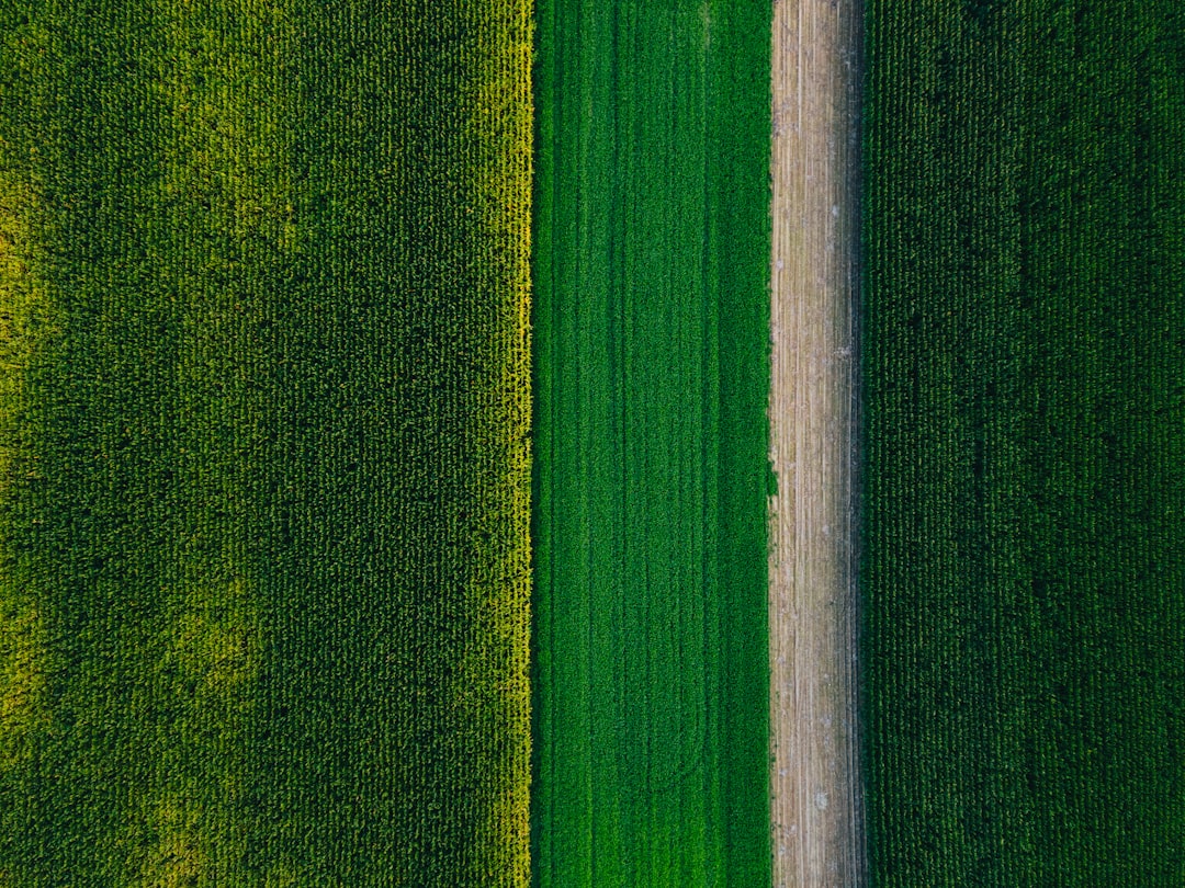 Yield
