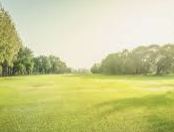 ENFJ 유형 특징 분석