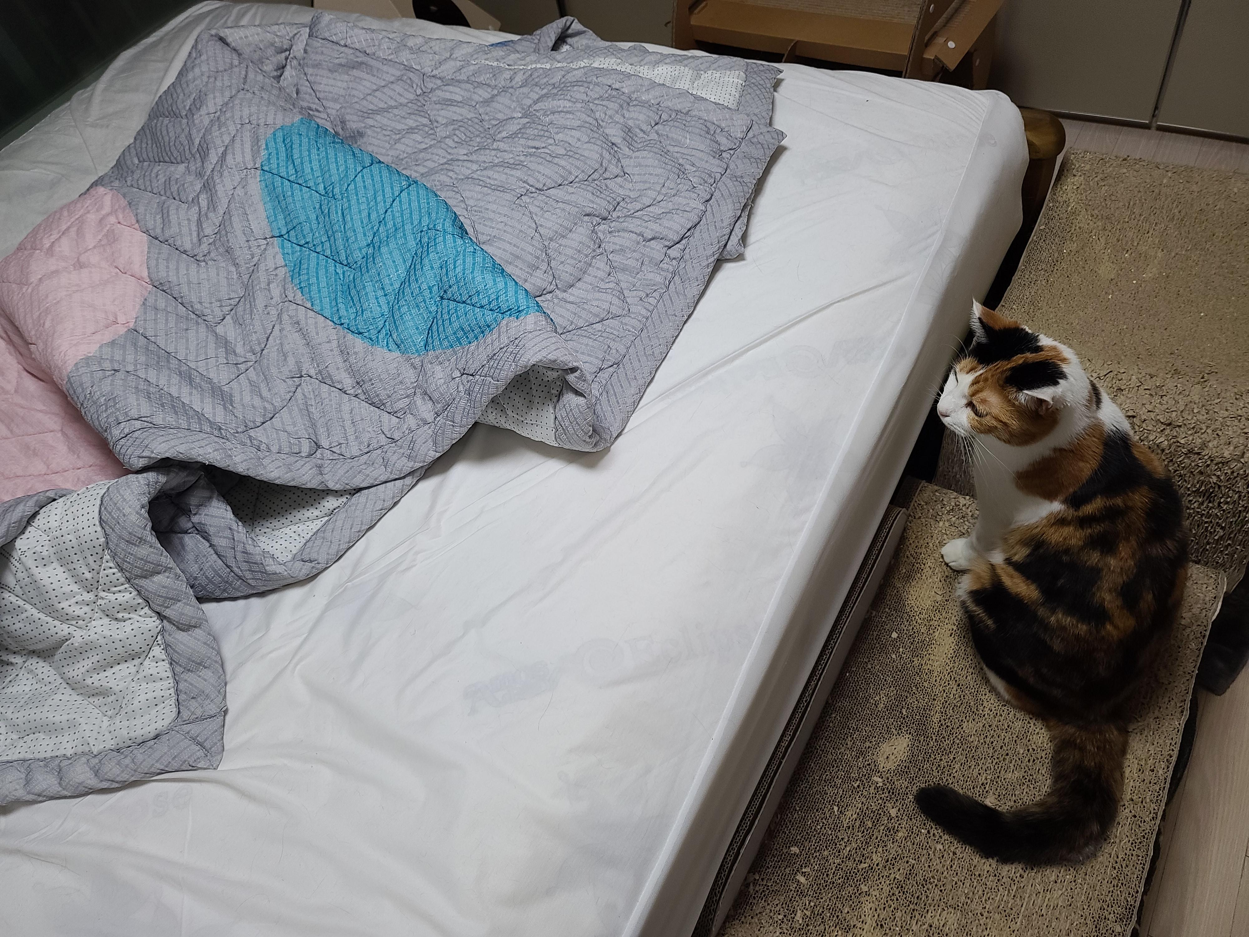 인기짱인 이불속 체험! 진상고객들과 늘어나는 대기자들..