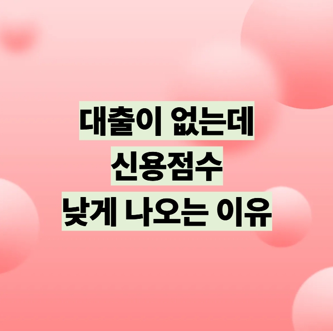 대출이 없는데 신용점수가 낮게 나오는 이유 설명 이미지