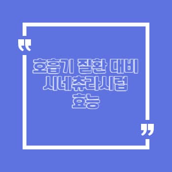 시네츄라시럽