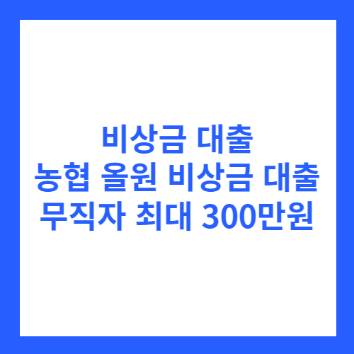 농협 올원 비상금 대출 무직자 300만원