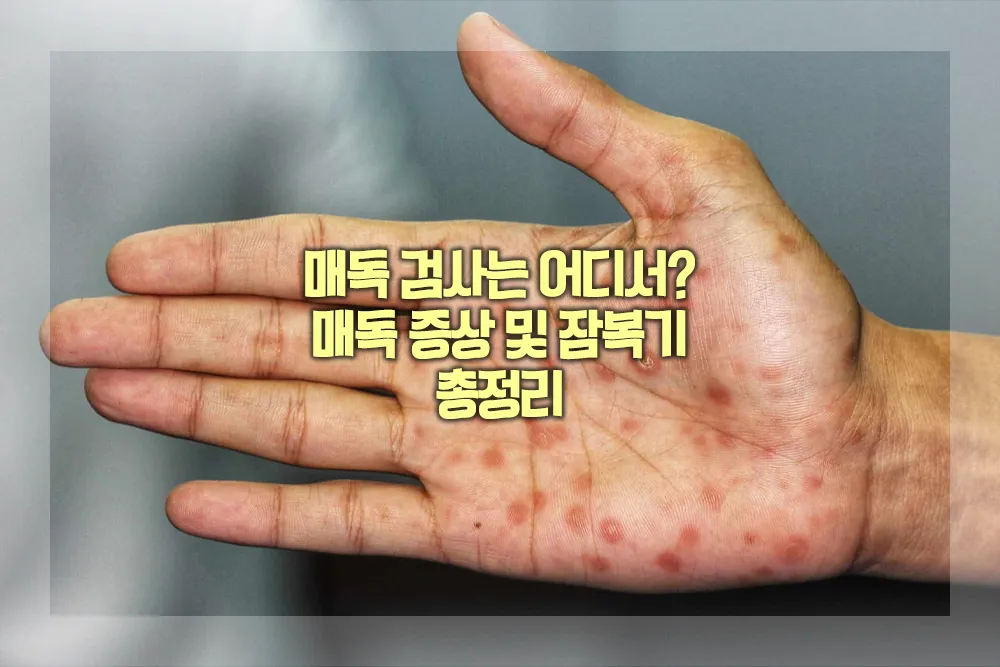 매독 검사 증상 잠복기 총정리