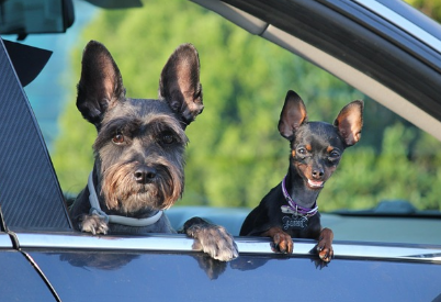 친구꿈 상황별 해몽