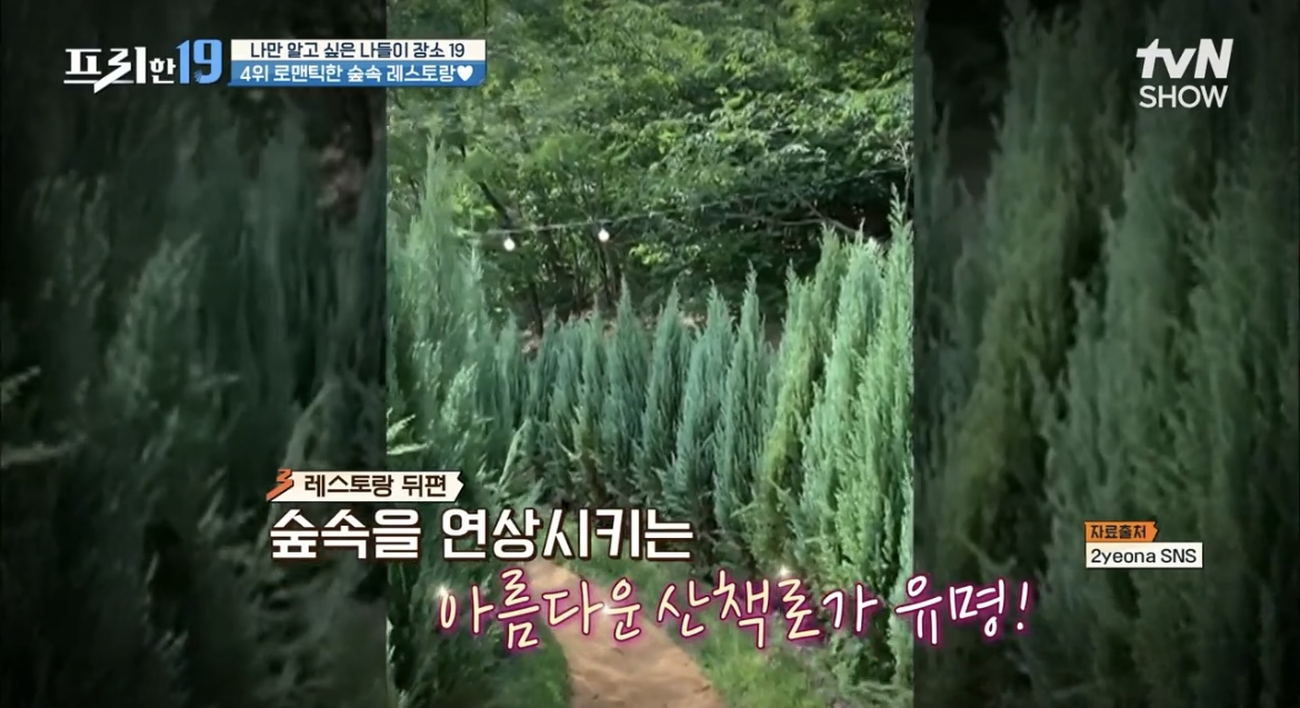 울산부조화숲