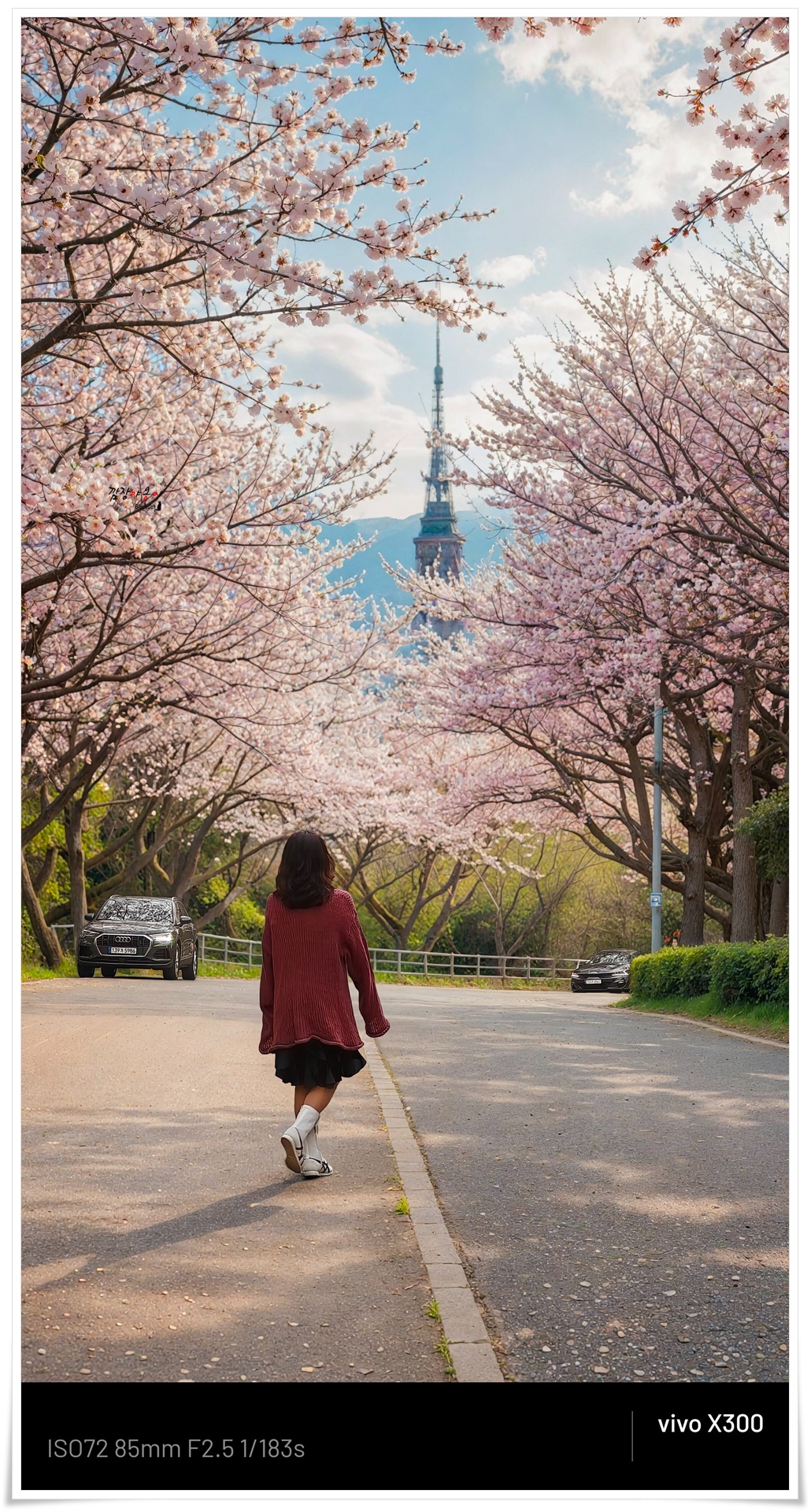 황령산 벚꽃길