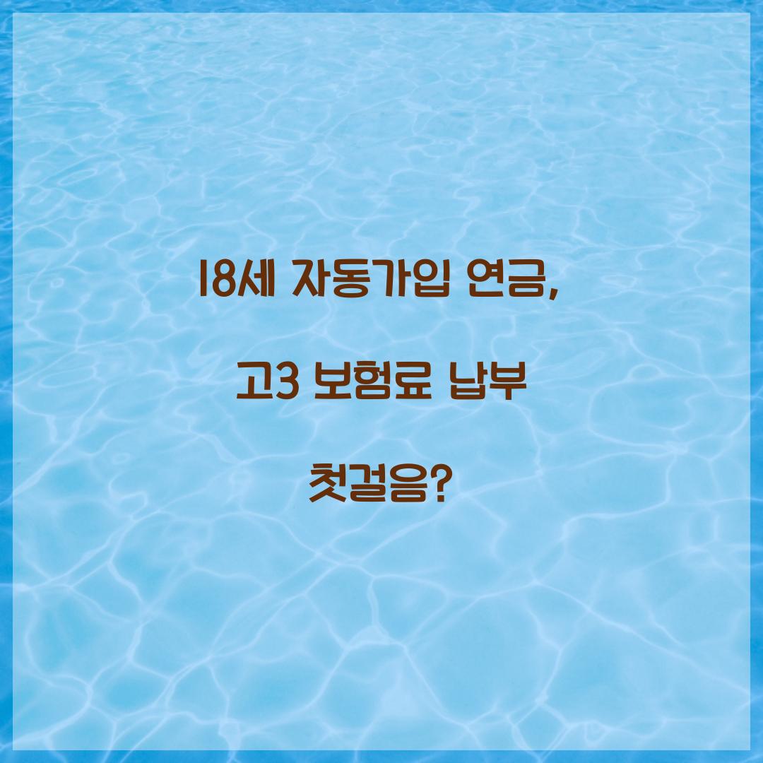 18세 자동가입 연금