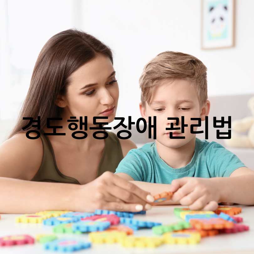 경도행동장애 증상, 원인, 관리법