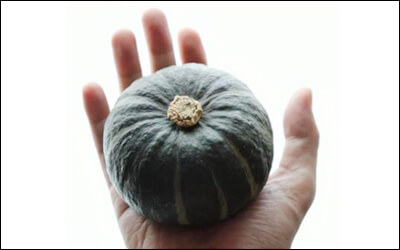 손바닥 위에 놓인 단호박