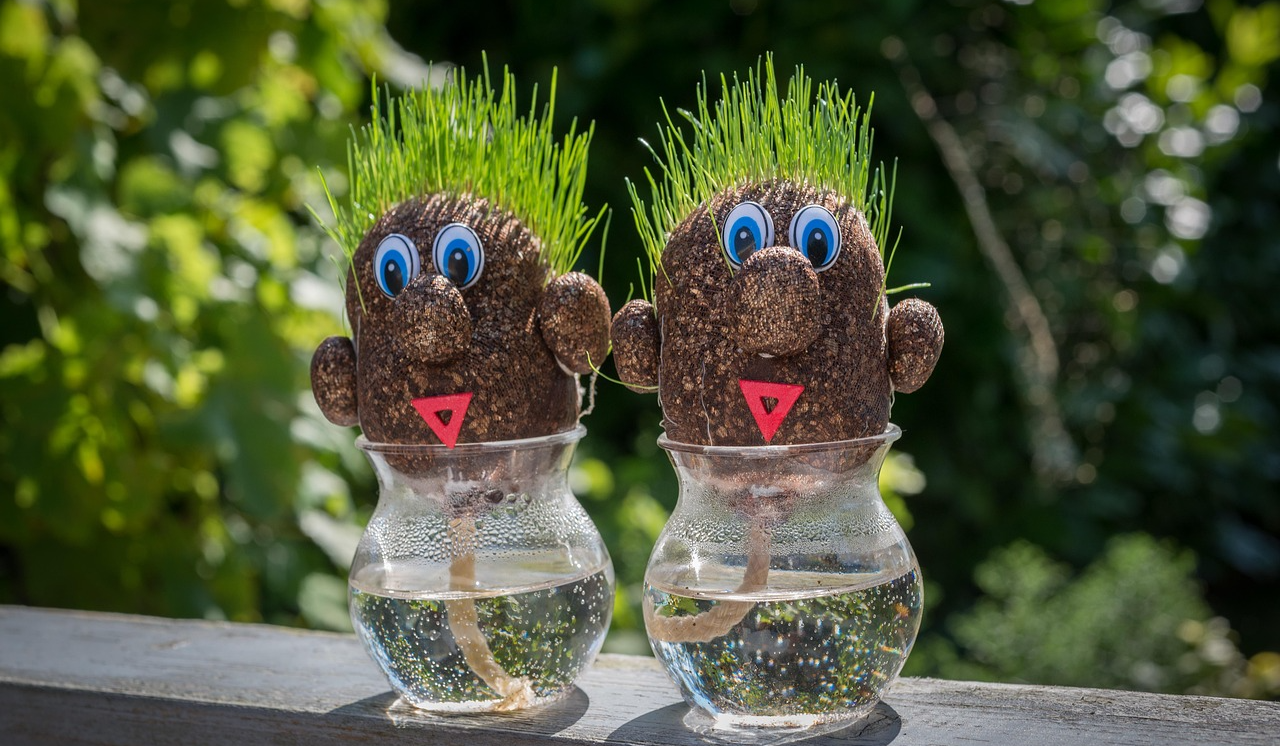 잔디, 인형, 꽃병 이미지