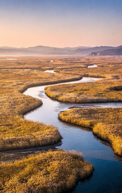순천 근교 산책 달리기 트레킹 코스 추천 &amp;#124; 습지부터 산줄기까지 걷는 여행