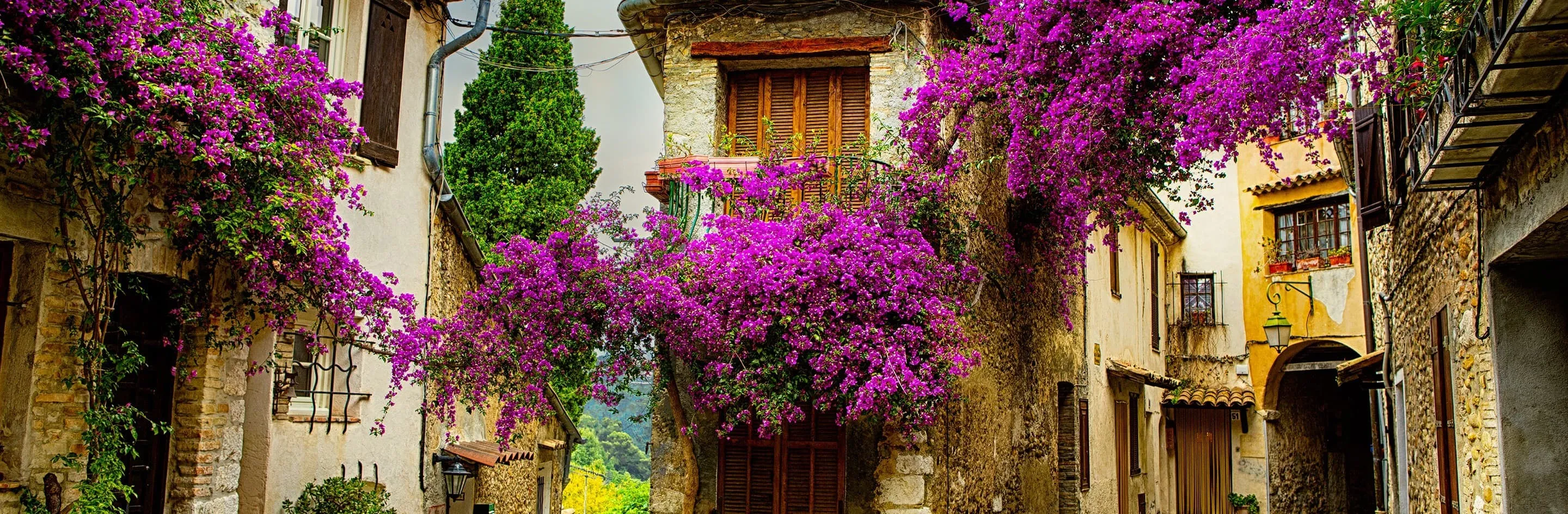 프로방스 비밀 정원 올리브 오일 허브 전통 요리 체험_9