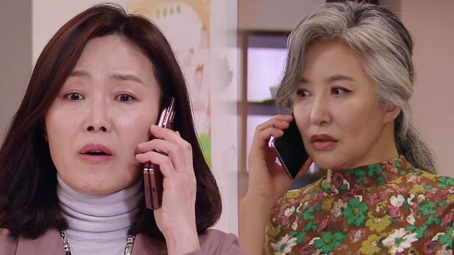 양혜진 배우 프로필 나이 키 화보 출연작 드라마 집 과거 리즈