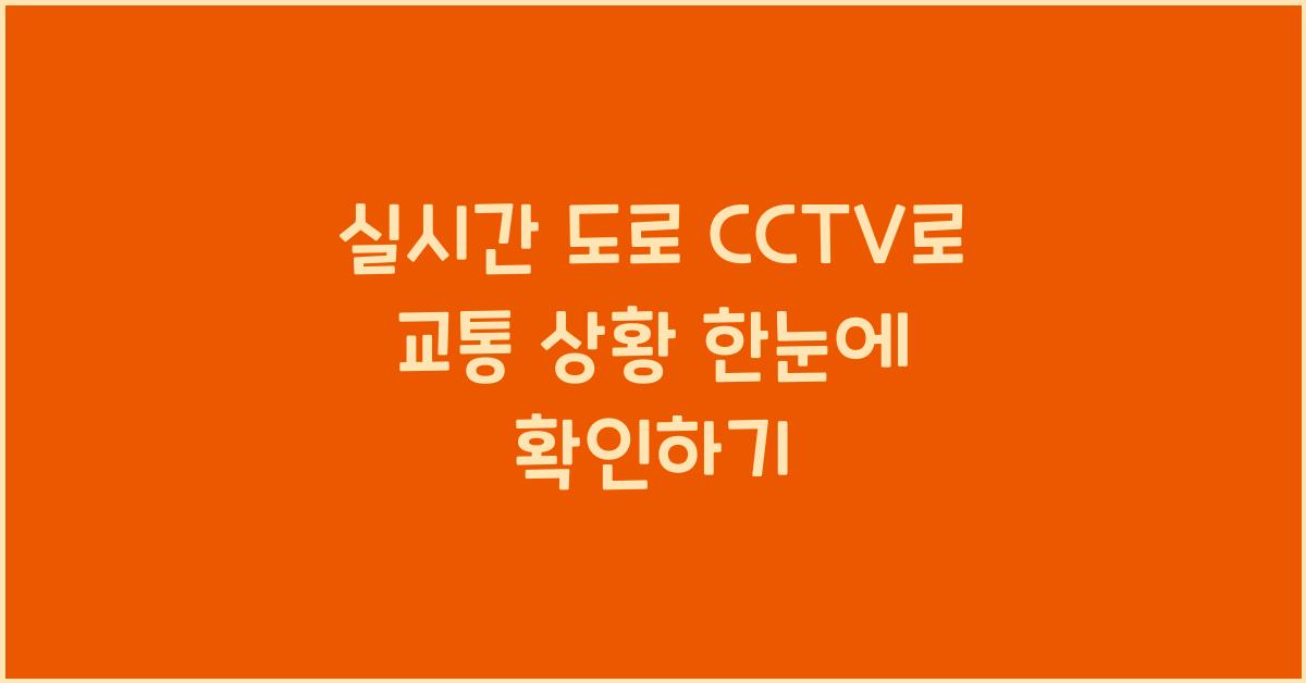 실시간 도로 cctv