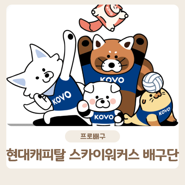 현대캐피탈 스카이워커스 배구단