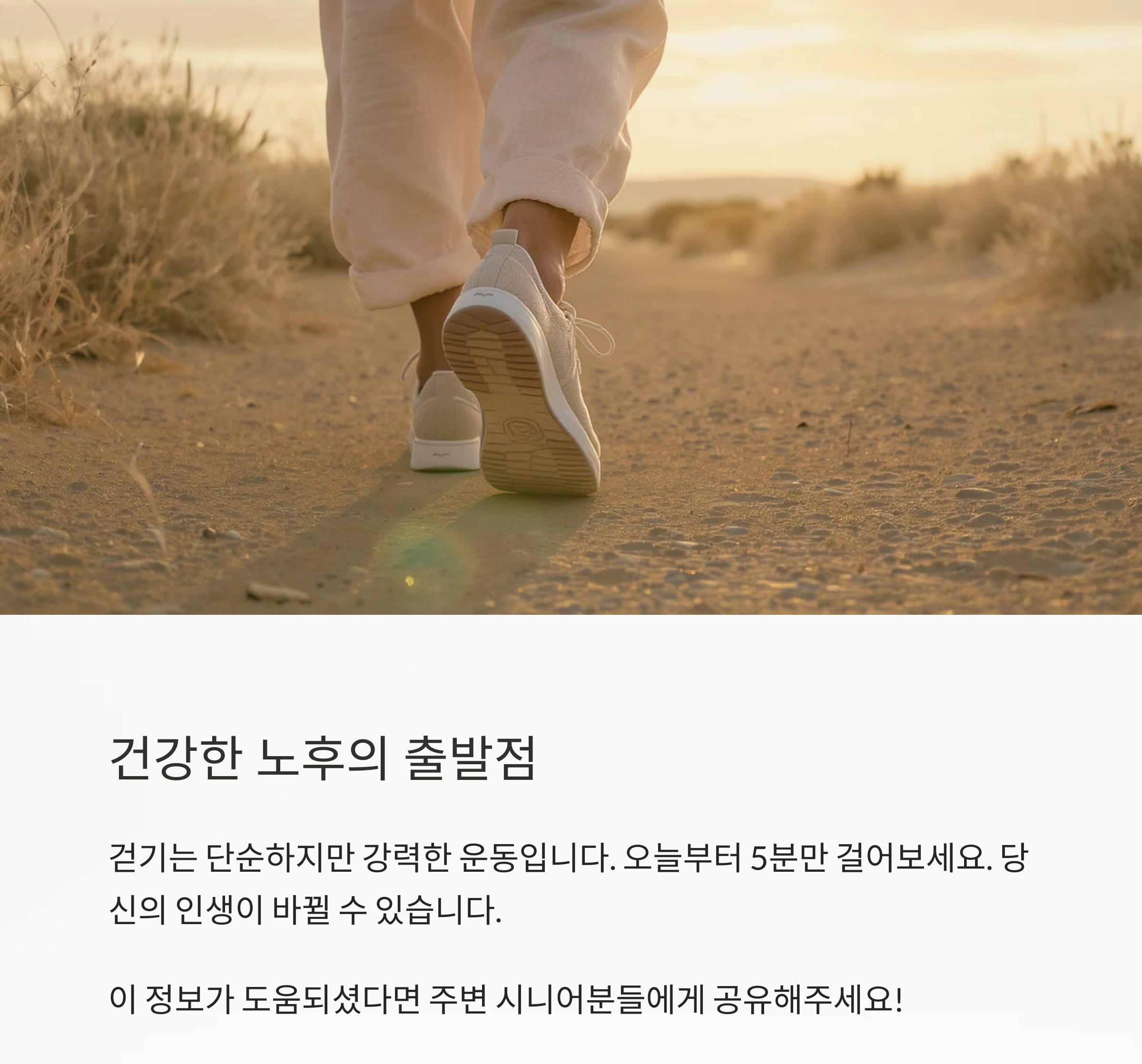 나이 들어도 활기차게! 시니어 걷기 운동의 놀라운 효과