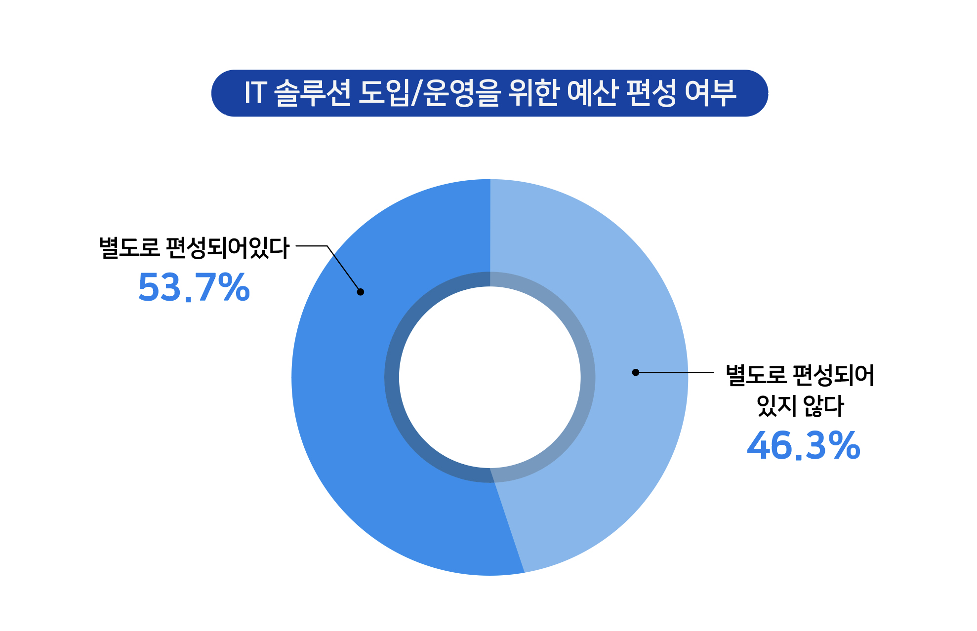 IT 솔루션을 위한 예산 편성 여부