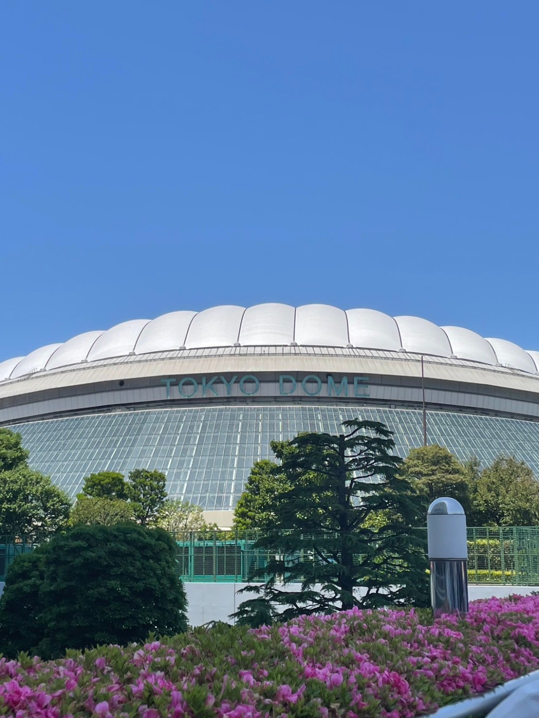 WBC도쿄돔