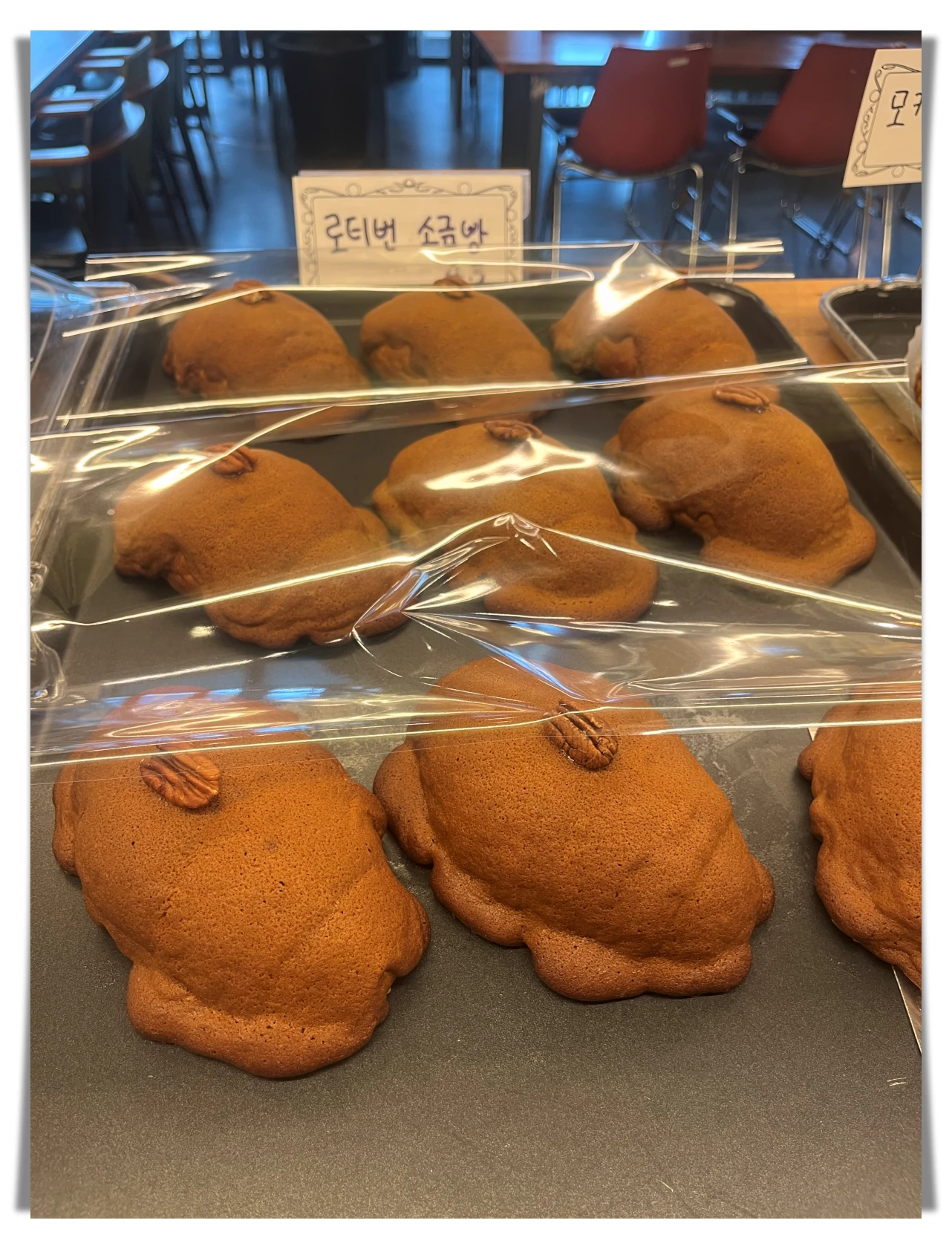 더티트렁크-베이커리5