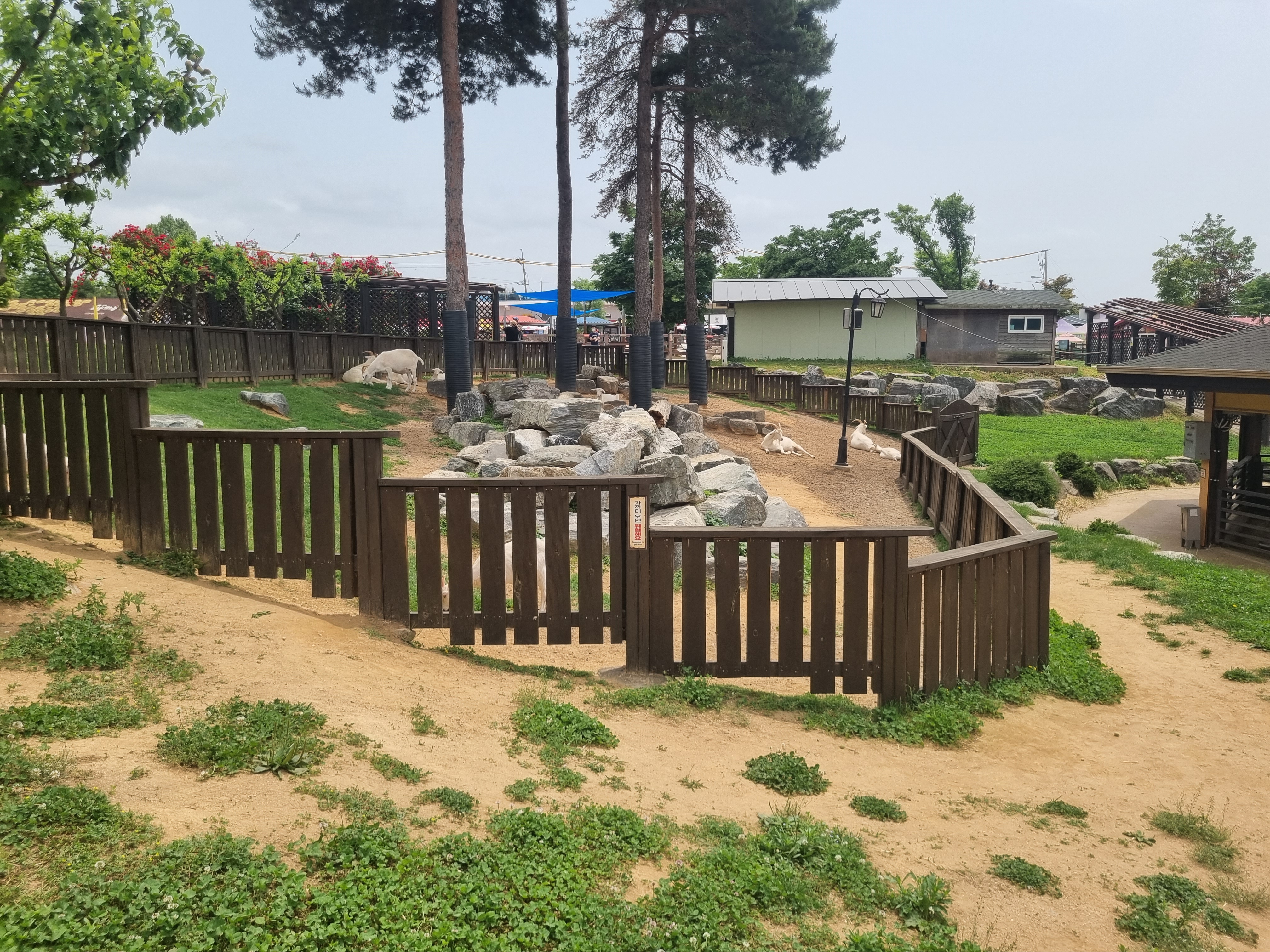 안성팜랜드 무료로 즐기기