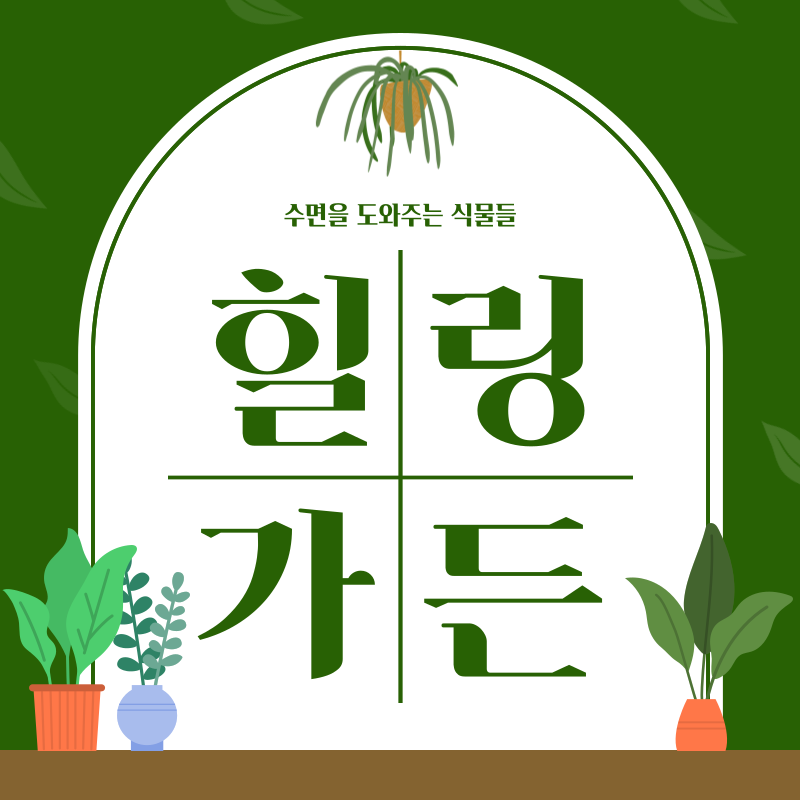 수면식물