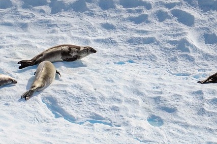 취약계층과 소상공인을 위한 여름철 전기요금 감면 및 할인제도 알아보기