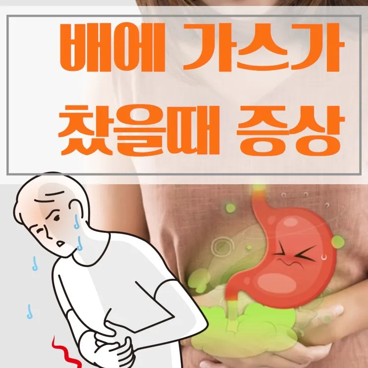 배에 가스가 차고 방귀를 자주 뀜 원인부터 해결책까지 한번에 알아보기_2