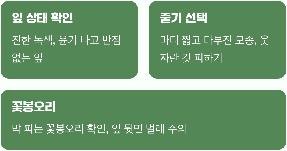 첫 만남, 건강한 여왕님 모셔오기