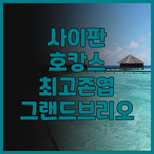 그랜드브리오 리조트 사이판 추천! 쇼..