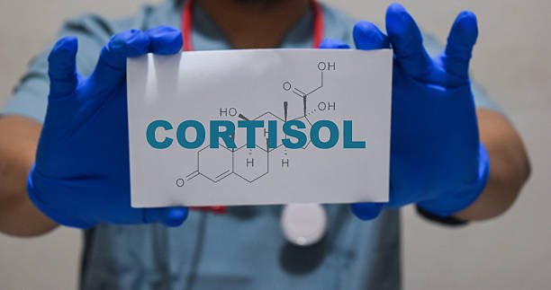 호르몬 불균형과 수면의 질