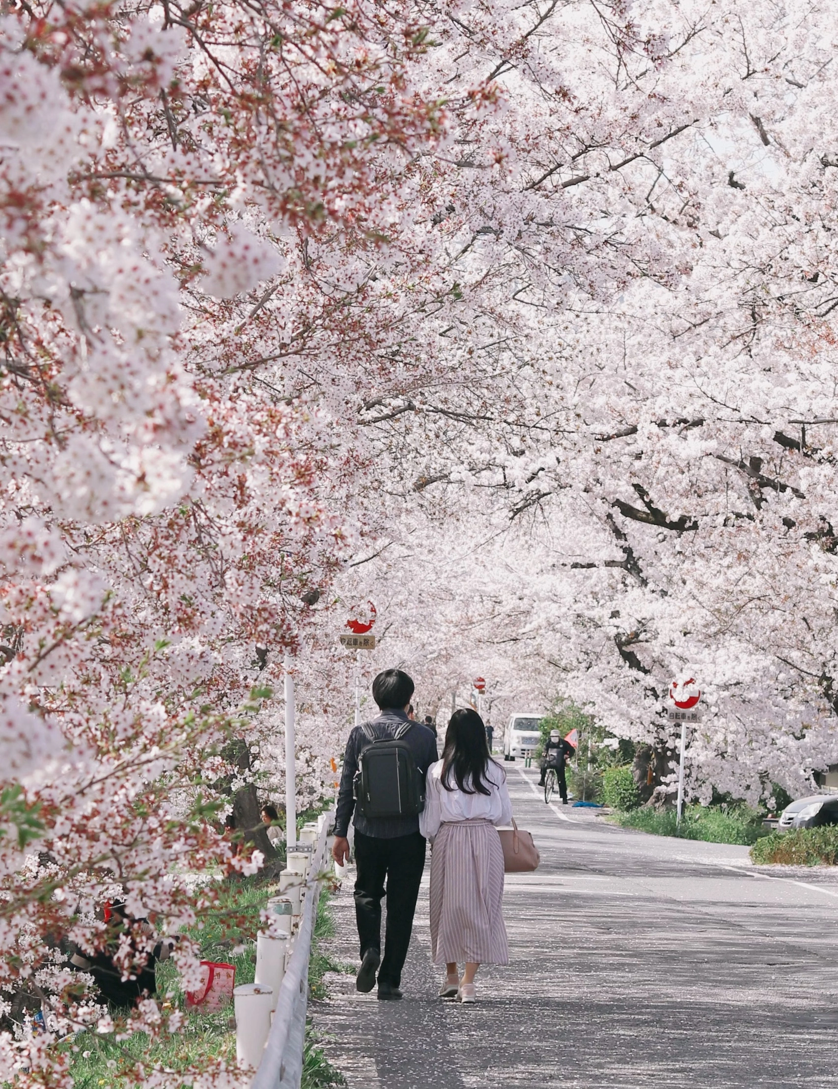 화개장터 벚꽃축제 가는방법
