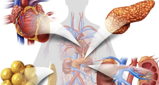 몸이 가려운 이유 21